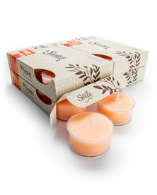 Autumn Splendor Tealight Candles 24-Pack