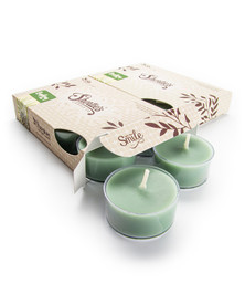 Bayberry Fir Tealight Candles 12-Pack