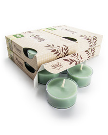 Bayberry Fir Tealight Candles 24-Pack