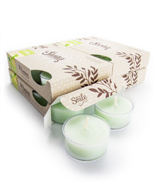 Cucumber Melon Tealight Candles 24-Pack