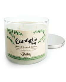 Natural Eucalyptus Leaf 3 Wick Candle