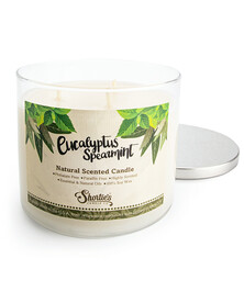 All Natural Eucalyptus Spearmint 3 Wick Candle