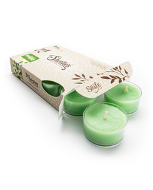 Mistletoe Moments™ Tealight Candles 6-Pack