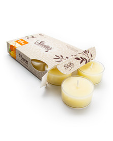 Pumpkin Walnut Cheesecake Tealight Candles 6-Pack