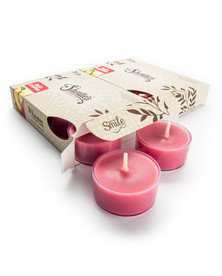 Apples & Cinnamon Tealight Candles 12-Pack